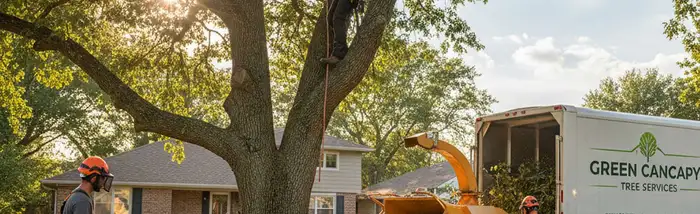 Tree service team in Albany, NY providing expert tree removal and trimming for homeowners